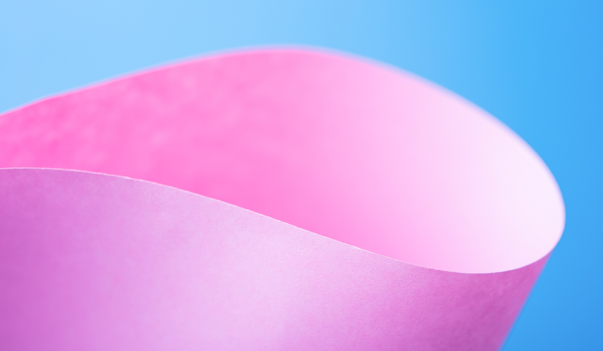 Curved pink paper against a gradient blue background, emphasizing texture and color.