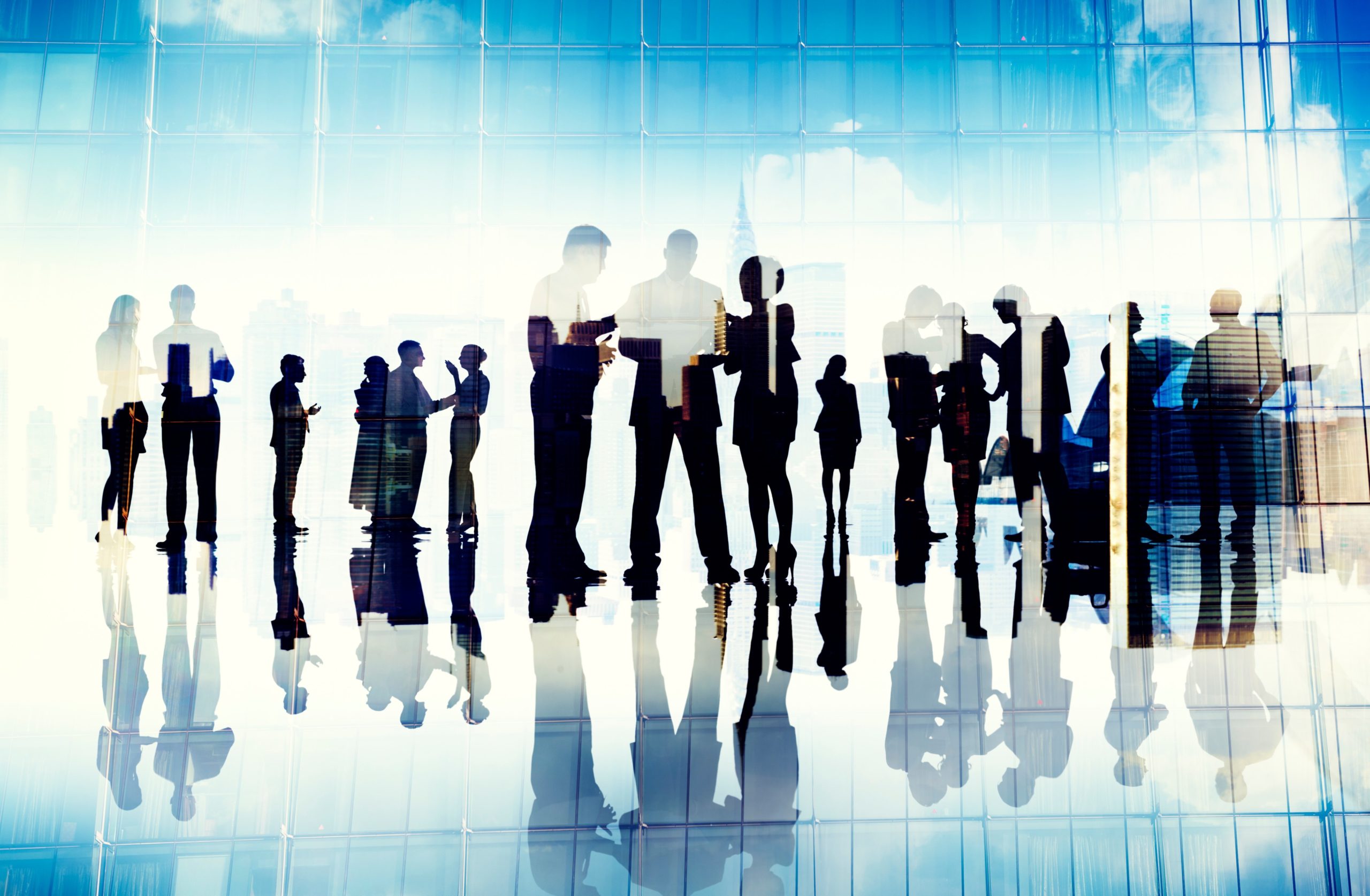 Business professionals networking in a modern office setting with a city skyline in the background.