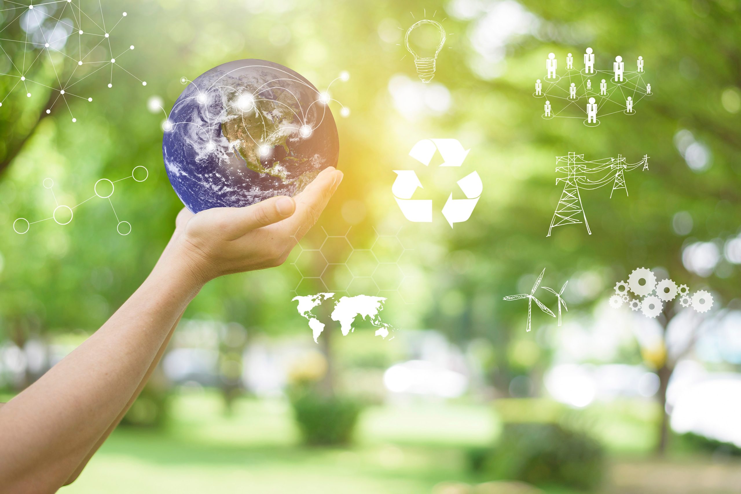 Hand holding a globe with digital graphics representing sustainability and environmental connections in a green park setting.