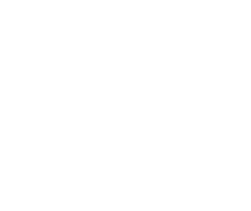 BlackBox Startup Law