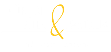 Gürlich Vítek & Partners