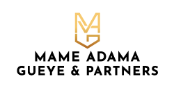 Mame Adama Gueye & Partners