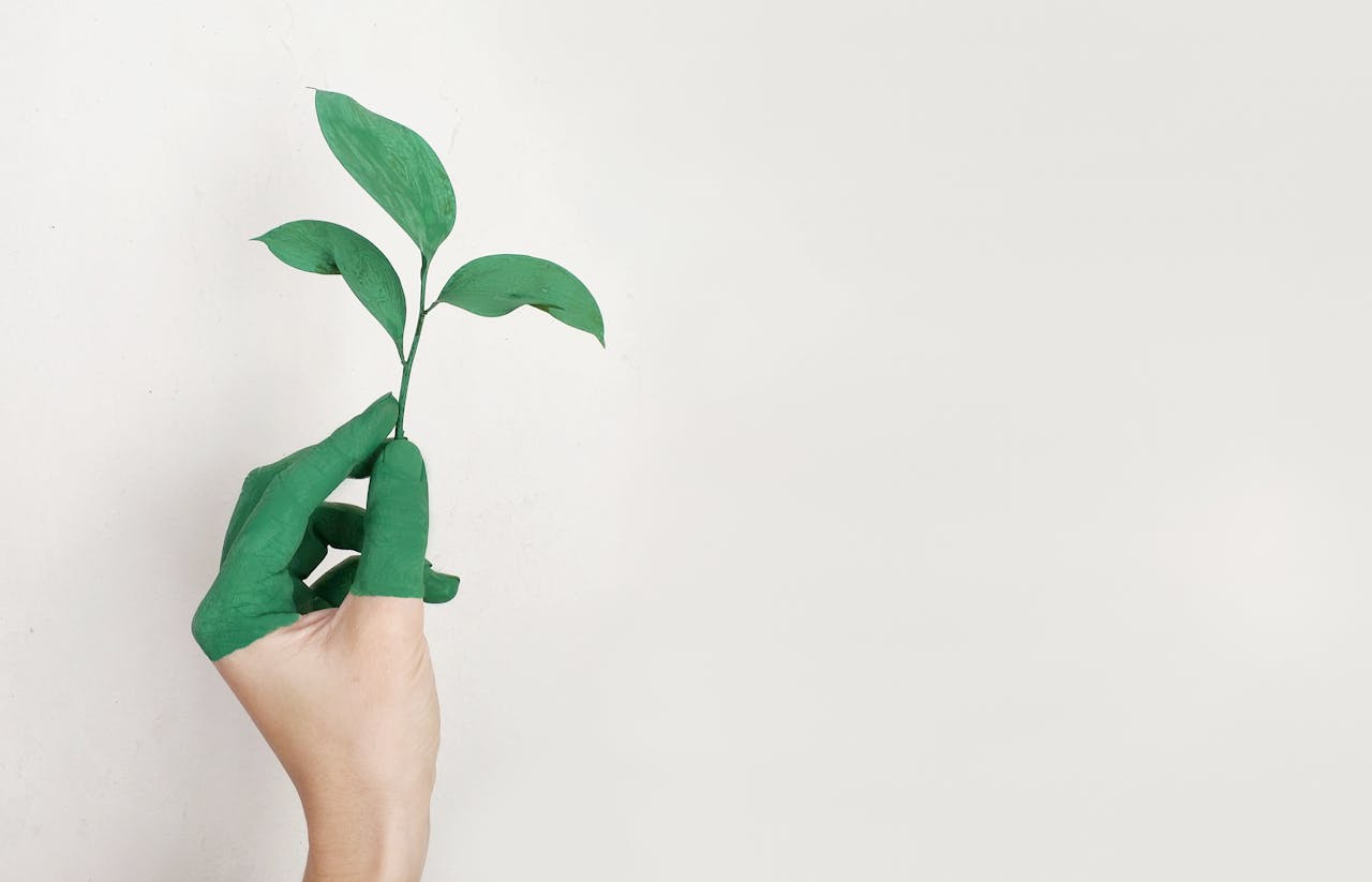The Greenwashing Trap - GLE News