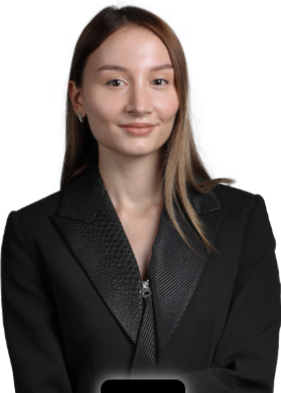Home - Screenshot Tool 20250721085127 1 - Global Law Experts