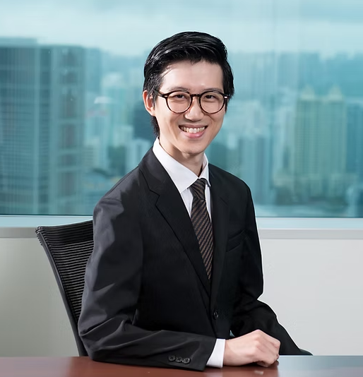 Home - Screenshot 2026 02 09 100234 - Global Law Experts