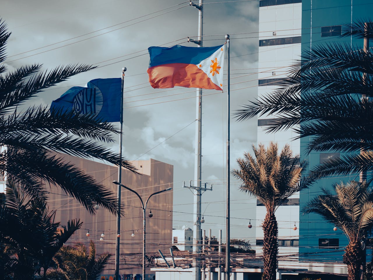 Flagpole display of ASEAN and Philippine flags near modern building surrounded by palm trees.