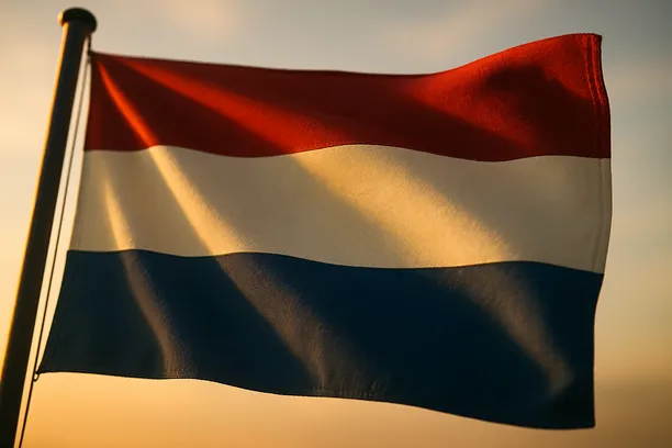 Contract Lawyers Netherlands