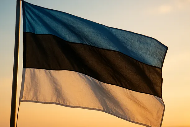 how to register a dao in estonia online