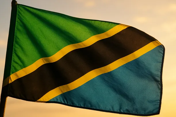 property transfer tax tanzania