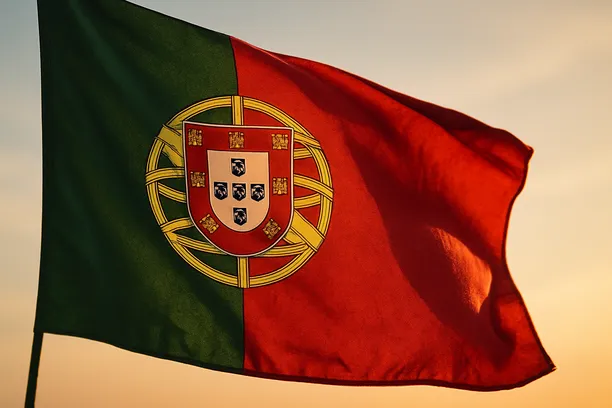 administrative courts procedure portugal