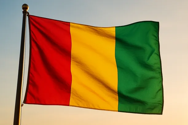 how to bid for World Bank energy contracts in Guinea 2026
