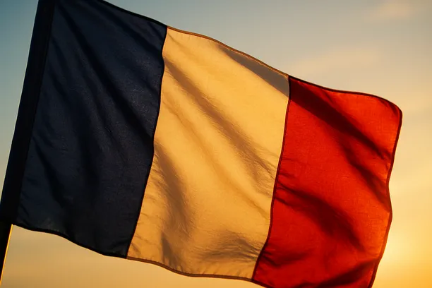 how to respond to a corporate criminal investigation in France