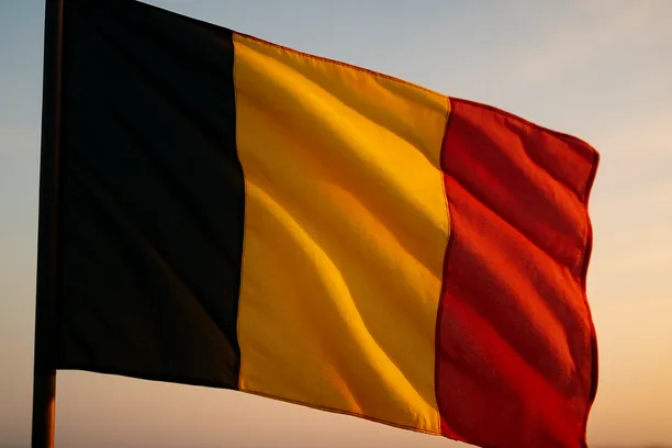 Loan Reform Belgium