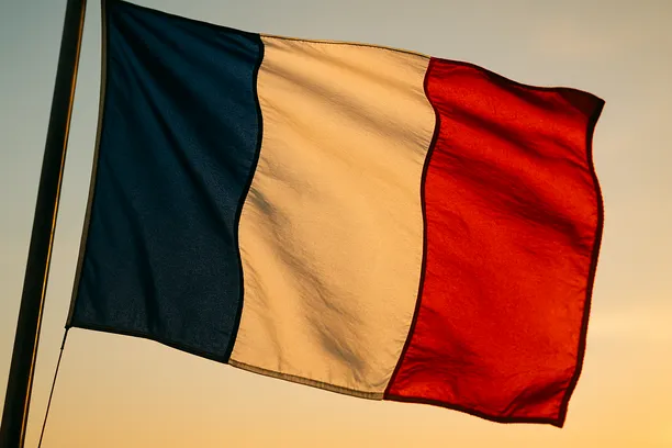 merger control vs FDI screening France 2026