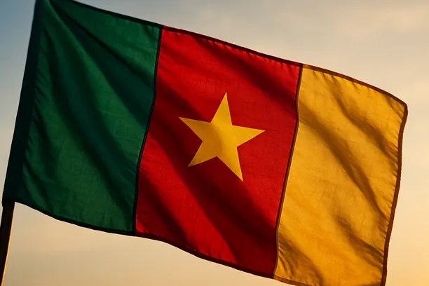 mobile money integration vs own e‑wallet Cameroon