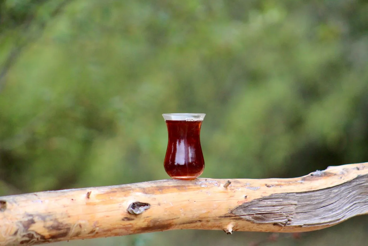 Glass of dark tea on a wooden log with a blurred green background.