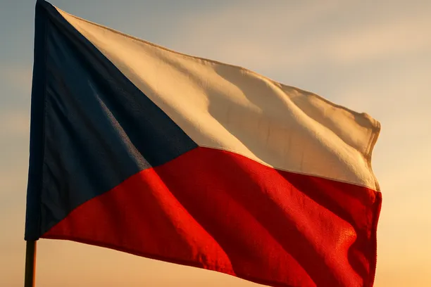 private equity vs strategic buyer Czech Republic 2026