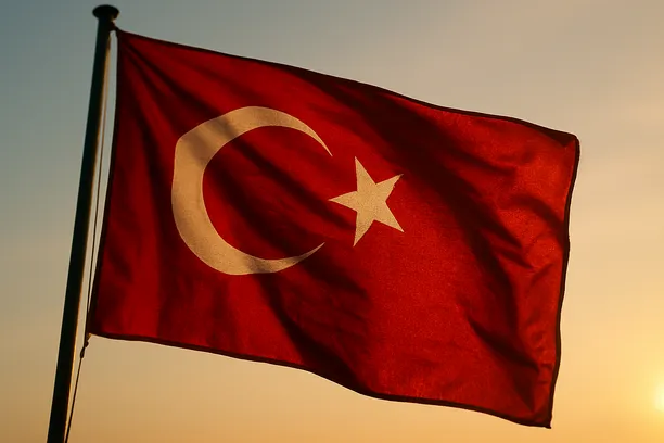self-preferencing platforms turkey
