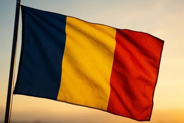 - Self‑Reporting Vs Internal Investigation Romania