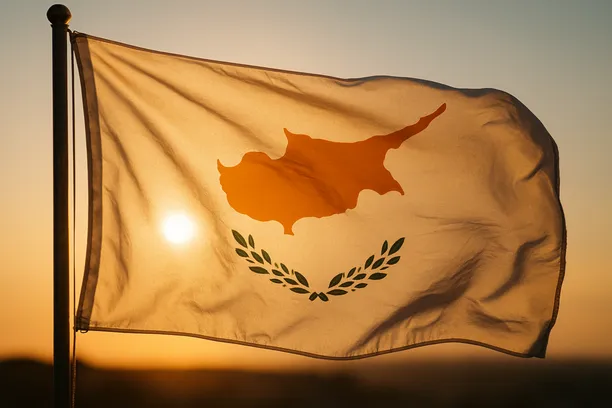 Cyprus IP company vs holding company