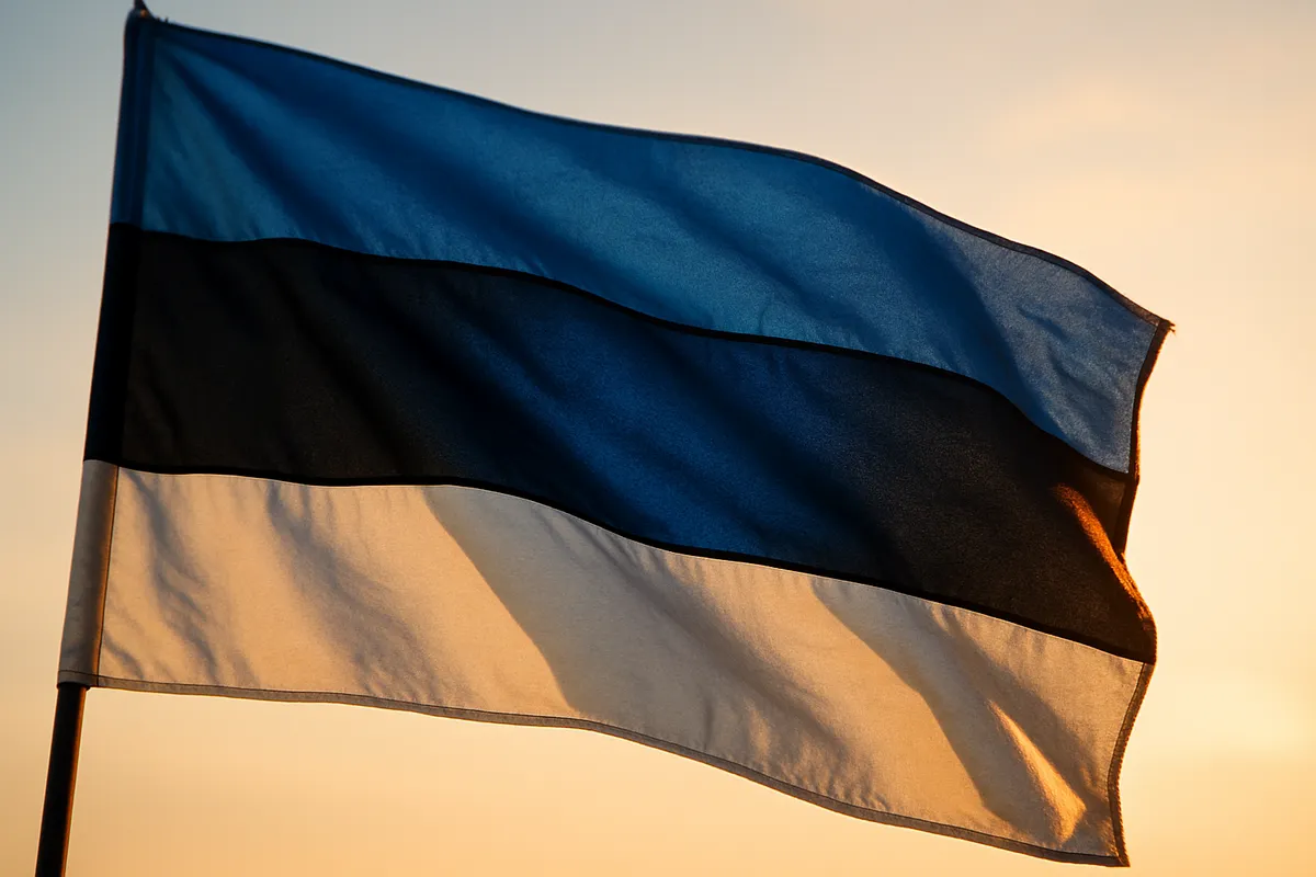 estonia vasp licence | Global Law Expert News