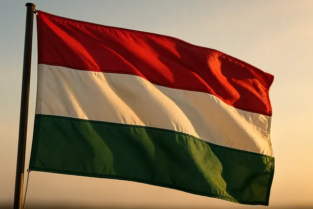 holding company vs direct ownership Hungary 2026
