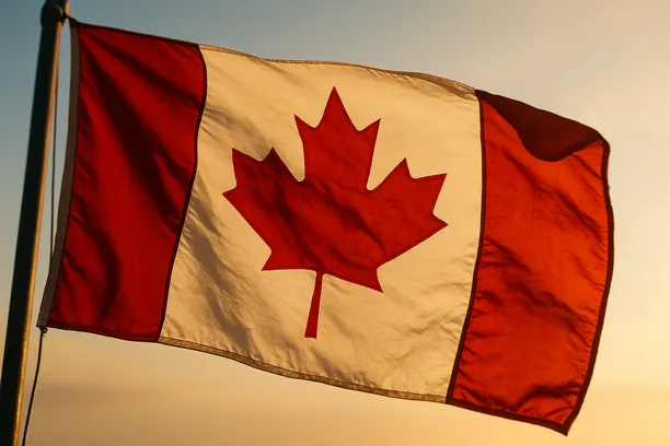 how to respond to a notice of allegation in canada patent form