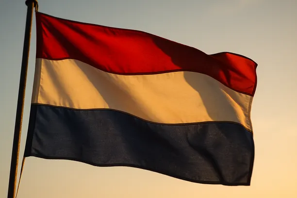 limitation of liability netherlands