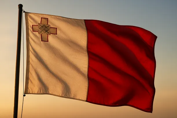 malta company vs branch office eu