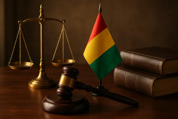 procedure exporting electricity Guinea 2026