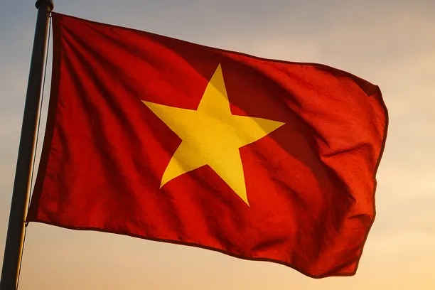 LLC vs joint stock company Vietnam