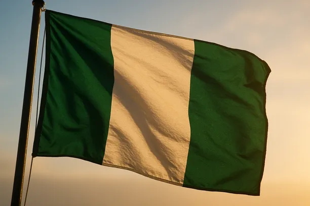 foreign investor hit cbn compliance issues
