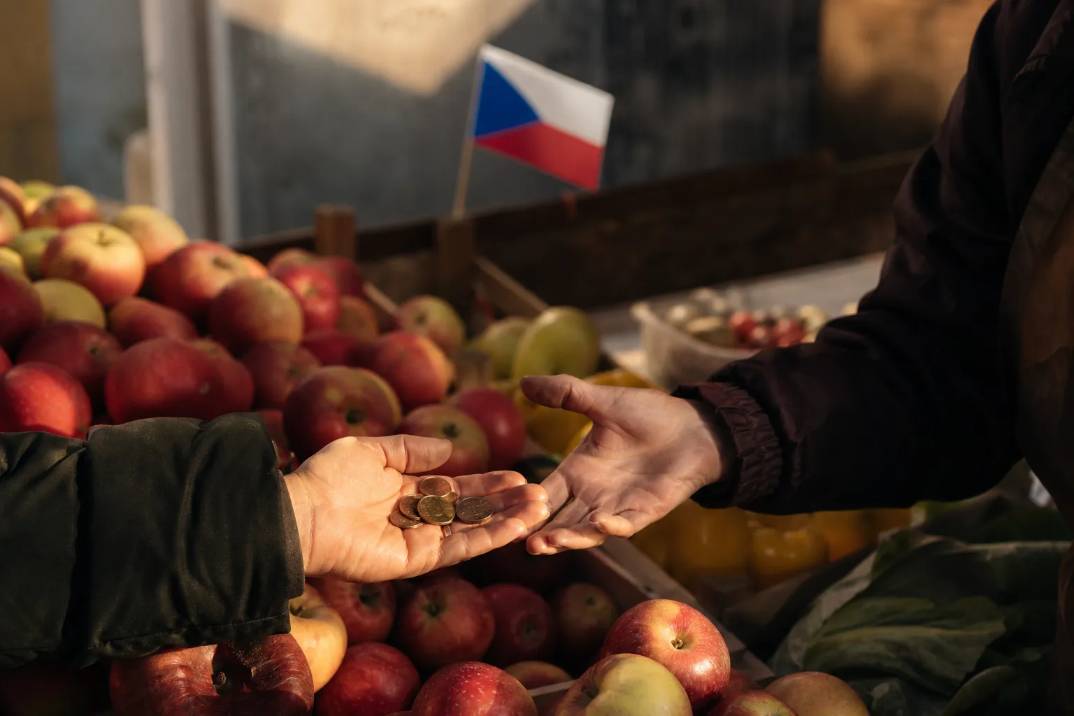 algorithmic pricing czech republic