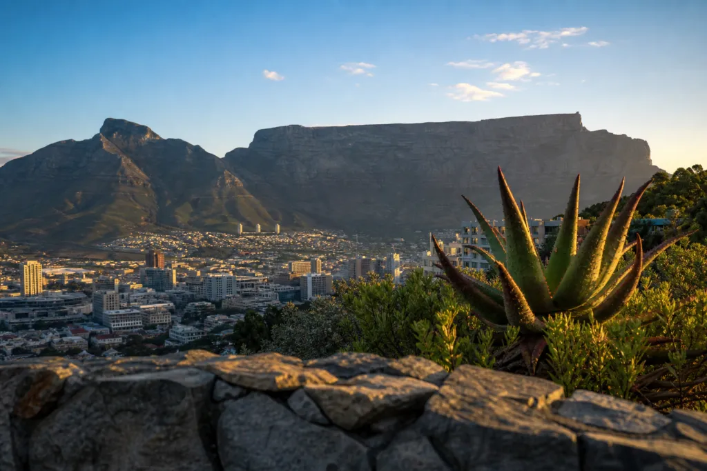 Earn-Outs South Africa