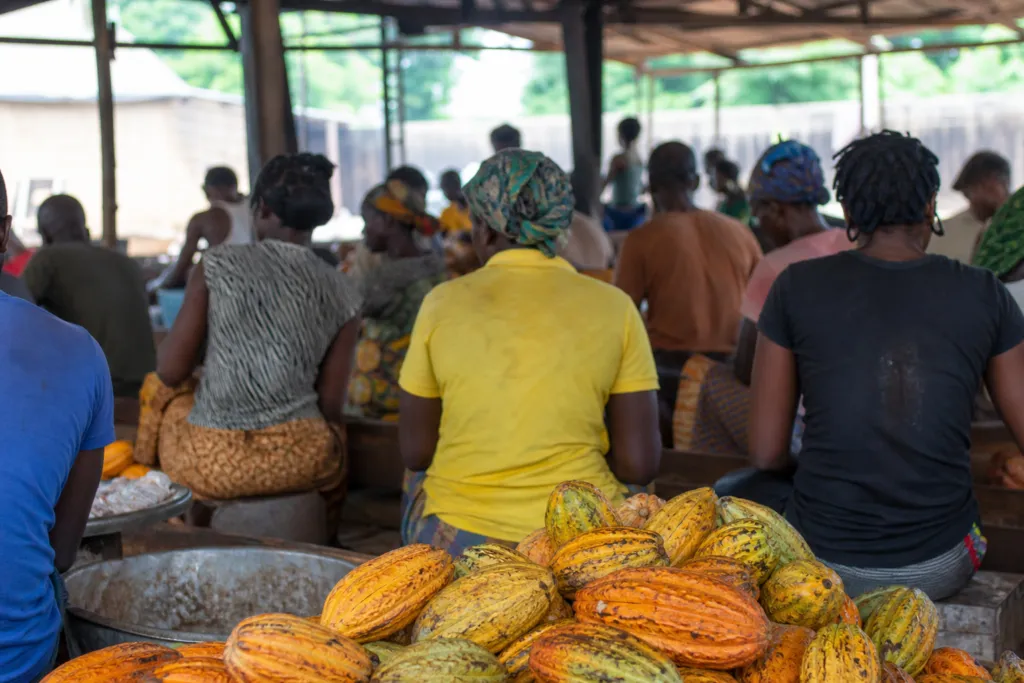 employee share plans tanzania