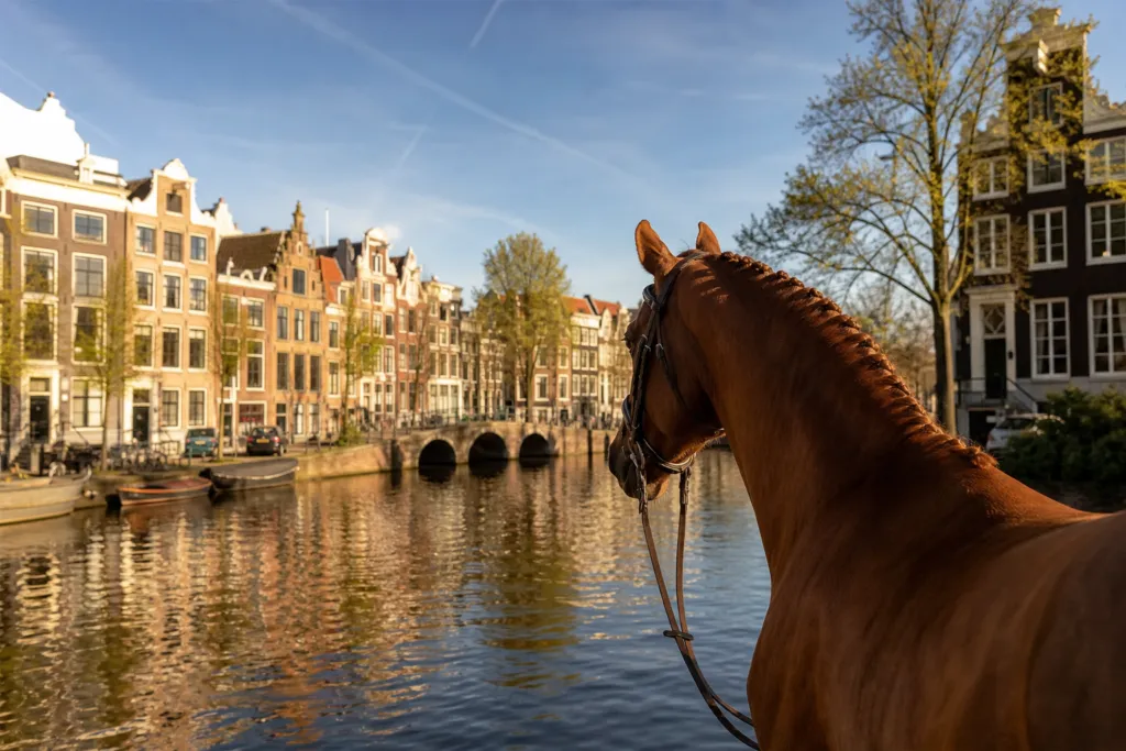 equestrian property netherlands