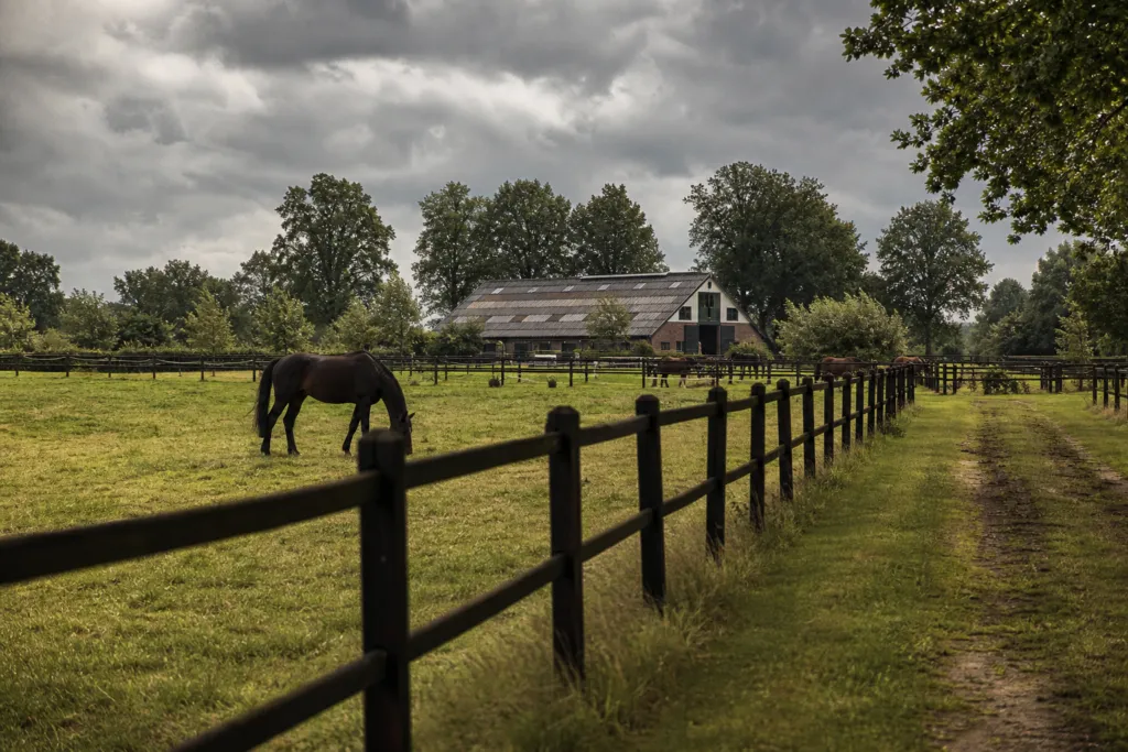 equine sponsorship agreements netherlands
