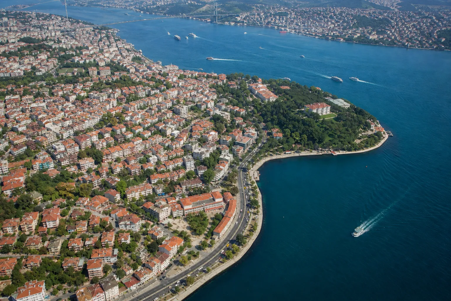 intestate succession turkey