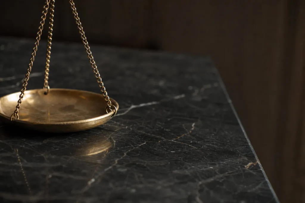 ip litigation lawyer france