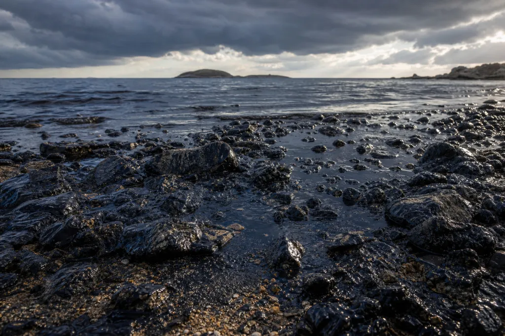 oil pollution claims south korea