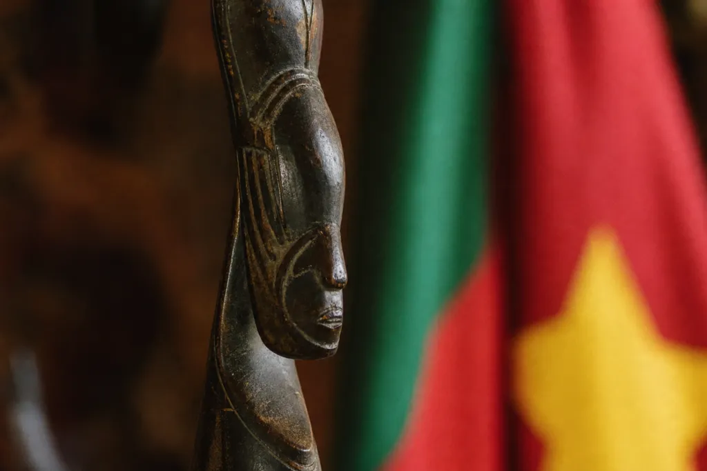 project finance approvals cameroon