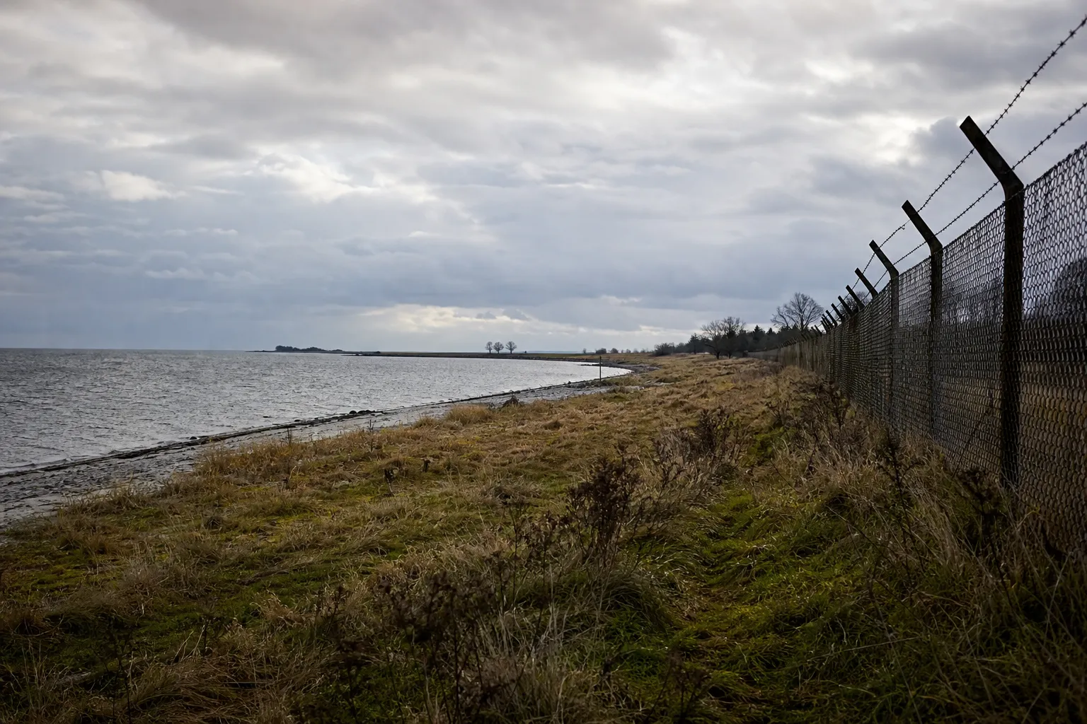 selection and exclusion grounds denmark