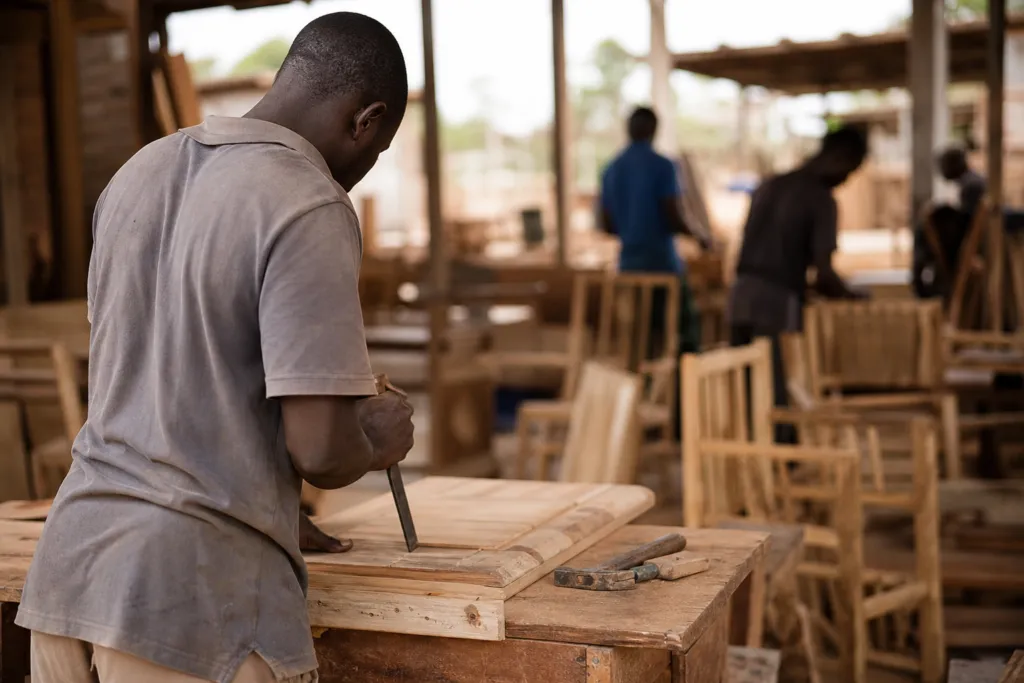 share vs asset purchase burkina faso