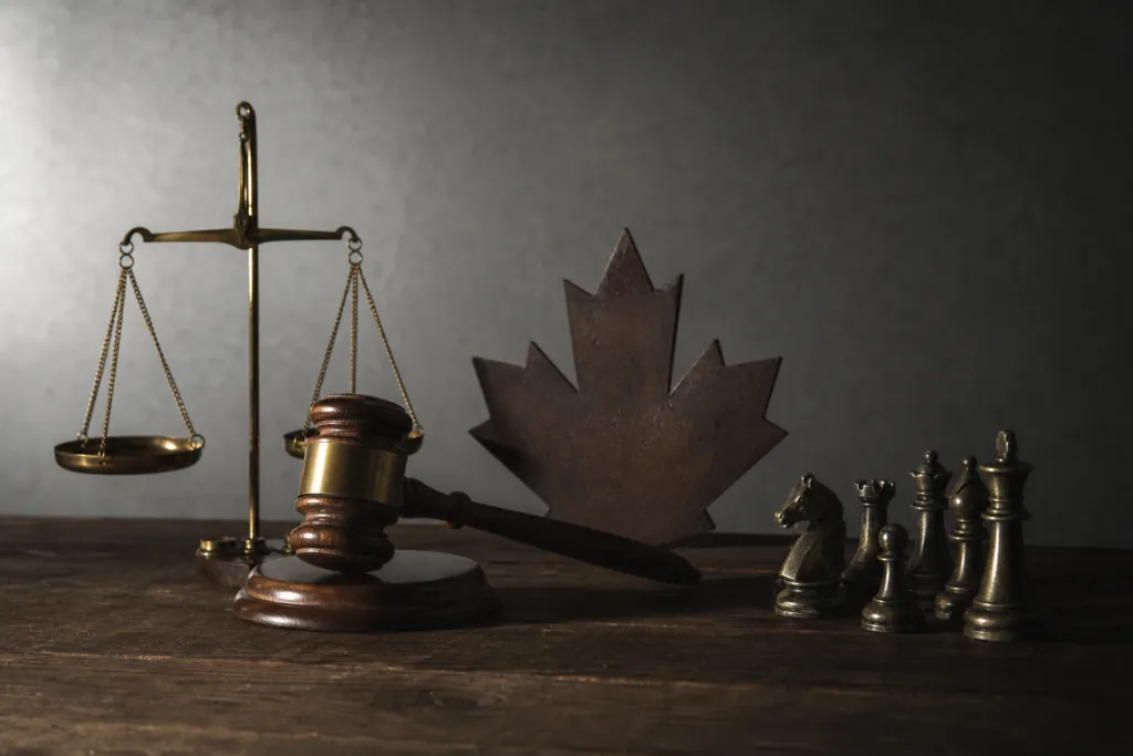 tax litigation lawyer canada