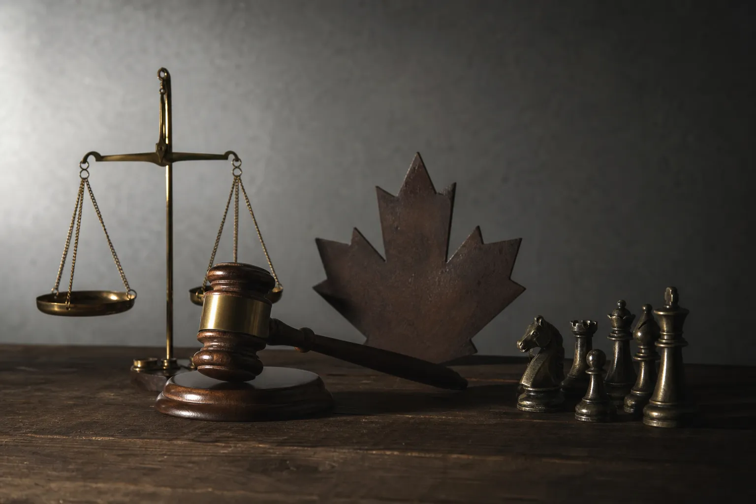 tax litigation lawyer canada