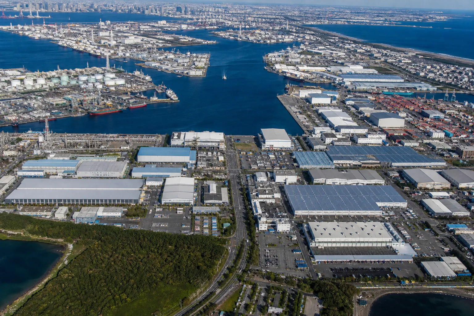 transfer pricing disputes japan