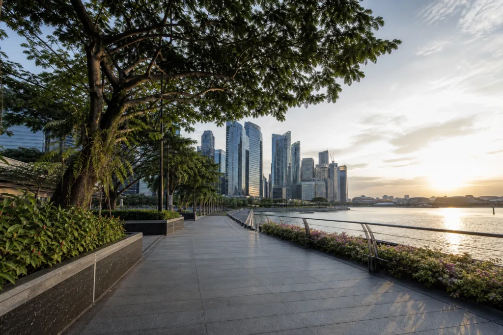 wills lawyer singapore
