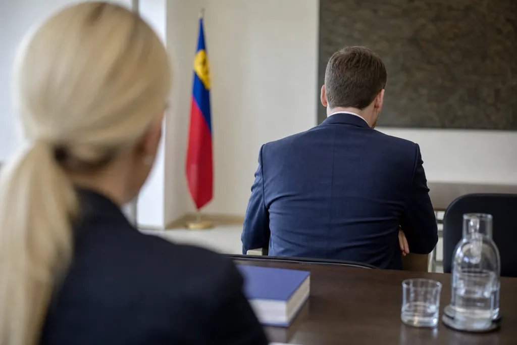 appeal process liechtenstein
