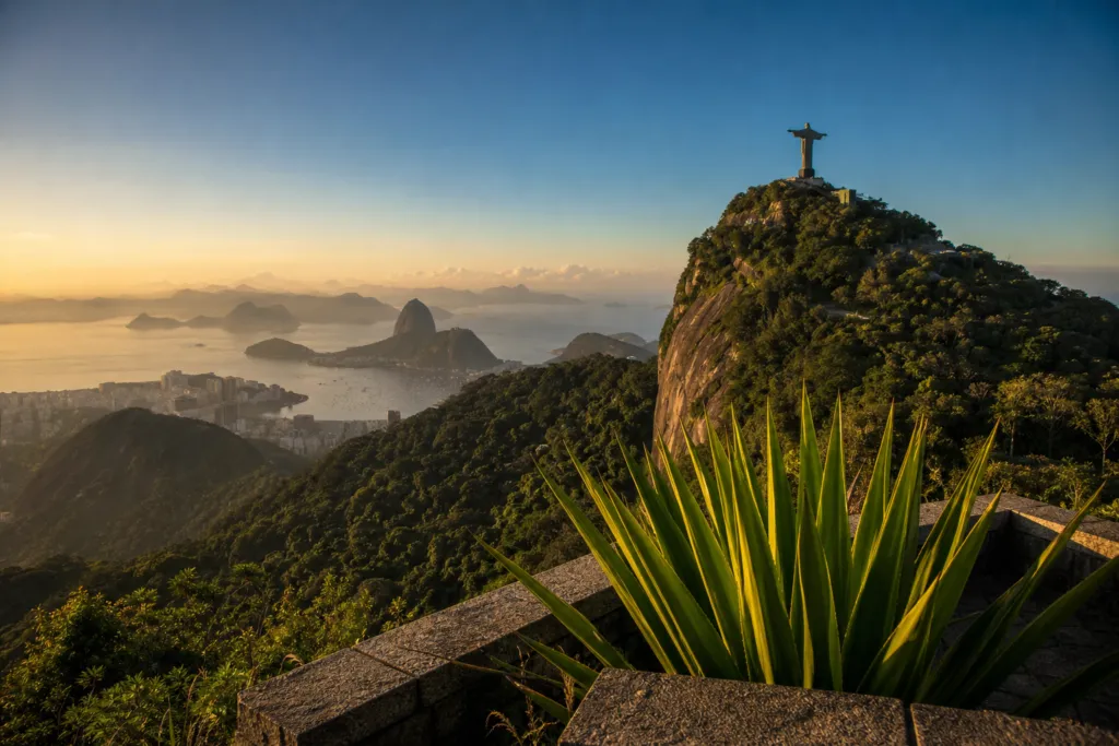 cgsn contracts brazil