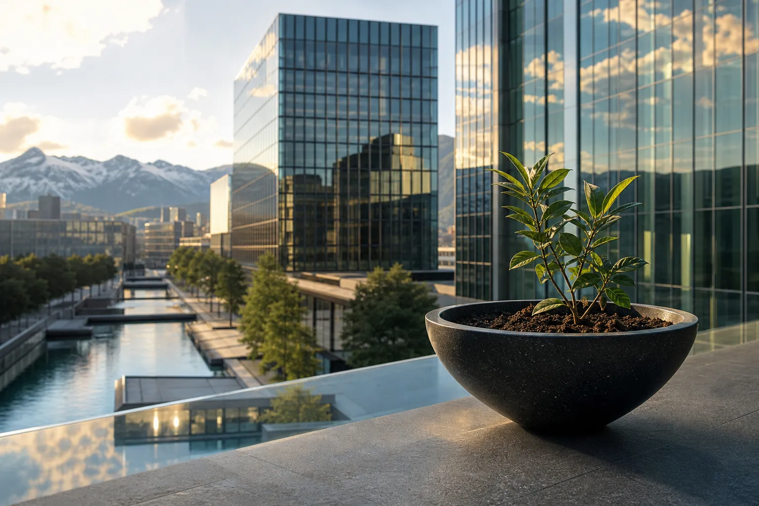 donor advised fund switzerland